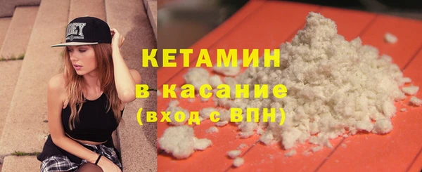стаф Аркадак