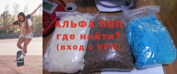 стаф Аркадак