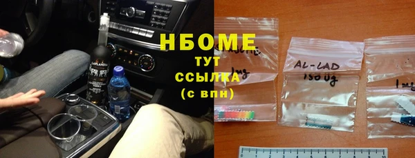 стаф Аркадак