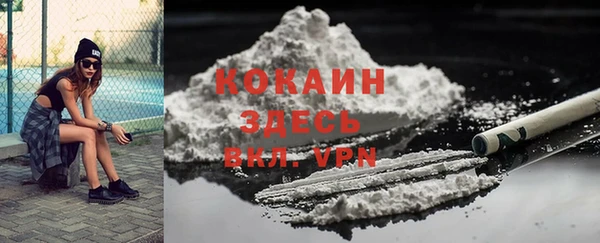 стаф Аркадак